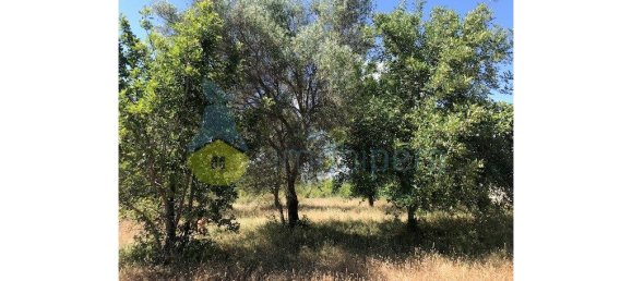 4 Schlafzimmer Haus in Silves, Portugal, Nr. 309883 40