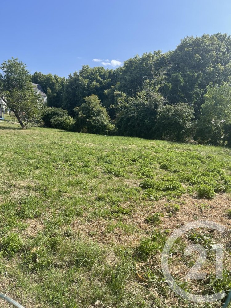 Земельный участок в Ла Шапель-Сен-Месмин, Франция № 91069