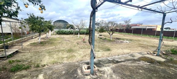 100m² Warehouse in Sanlucar de Barrameda, Spain No. 145421 7