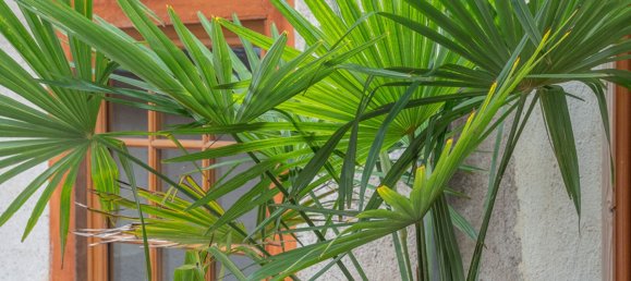 2 bedrooms Apartment in Tours, France No. 68028 3