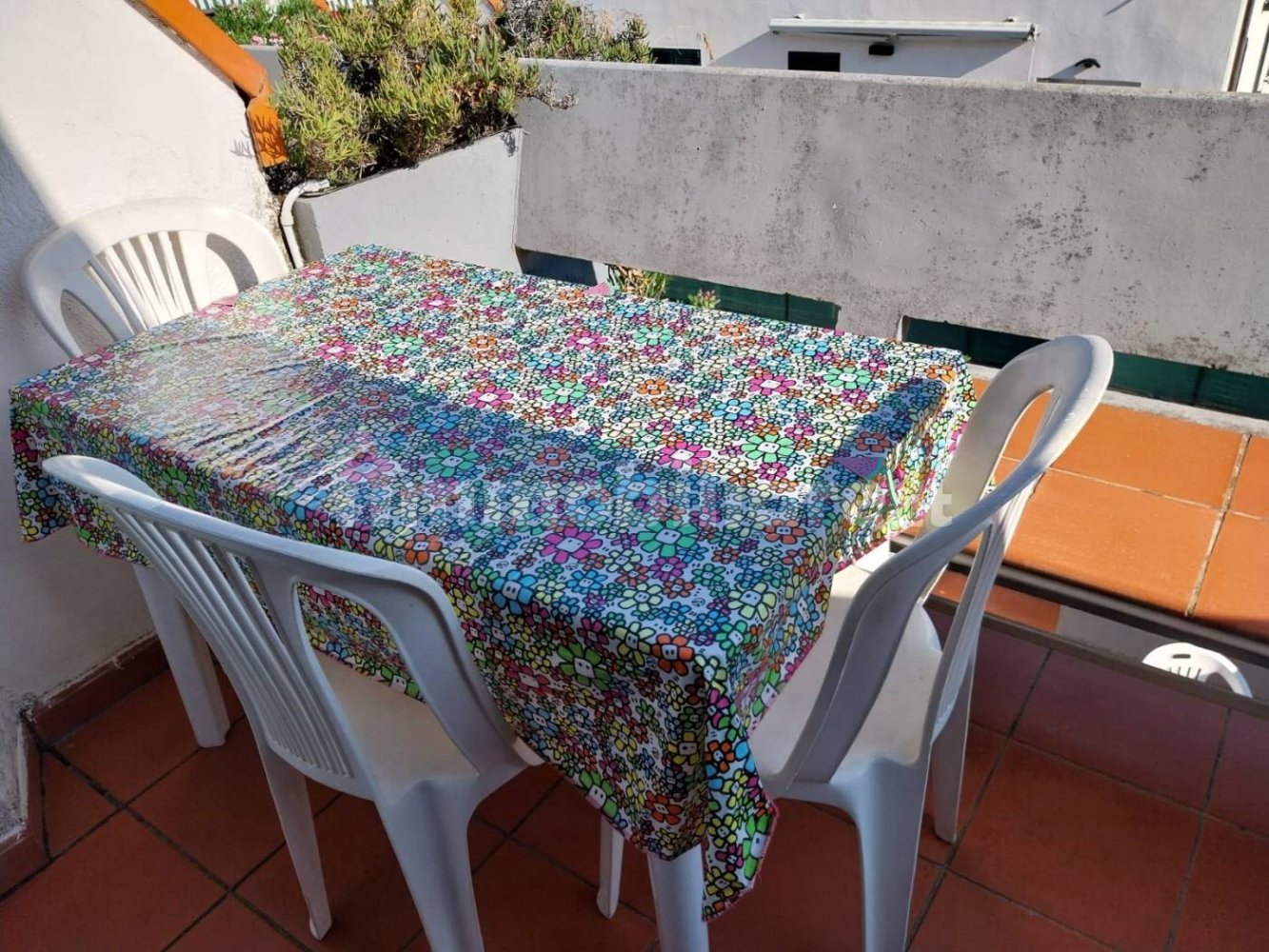 1 غرف نوم شقة في Campo nell'Elba, Italy رقم 300513