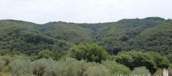 3 bedrooms House in Asciano, Italy No. 233400 3