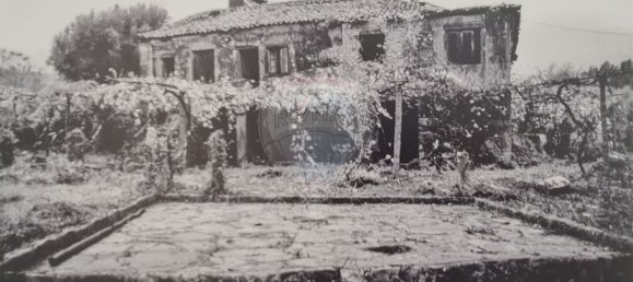 4 غرف نوم منزل في Ponte de Lima, Portugal رقم 179816 48