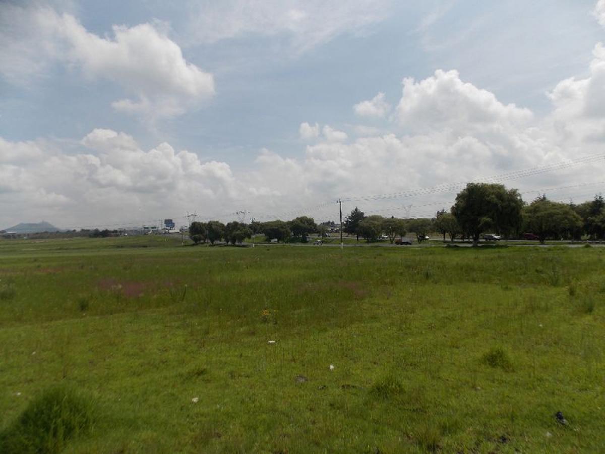  Land in Almoloya de Juarez, Mexico No. 202611