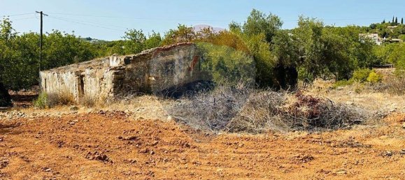 Terrain à Faro, Portugal 13290m² No. 63116 10