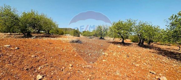 Terrain à Faro, Portugal 13290m² No. 63116 8