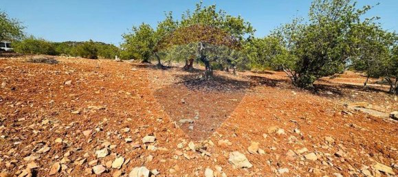 Terrain à Faro, Portugal 13290m² No. 63116 7