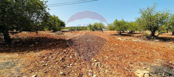 Terrain à Faro, Portugal 13290m² No. 63116 2