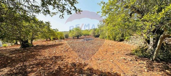 Terrain à Faro, Portugal 13290m² No. 63116 16