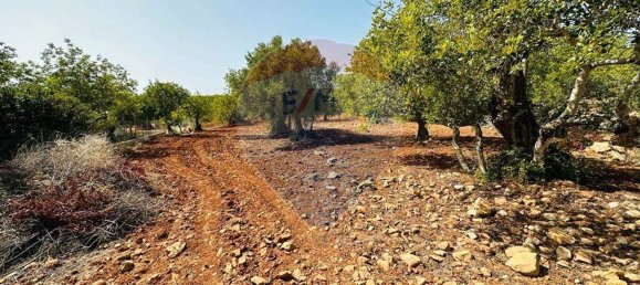 Terrain à Faro, Portugal 13290m² No. 63116 14