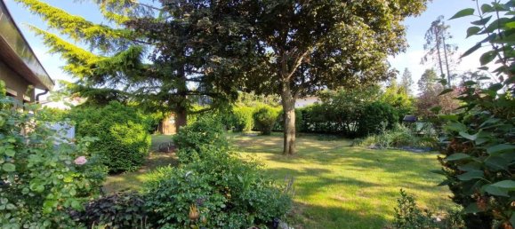 Bungalow de 4 divisões em Kottingbrunn, Austria N.º 204251 47