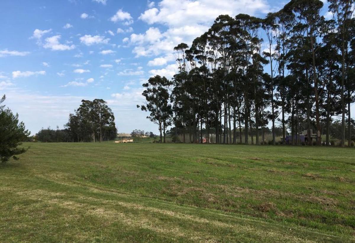  Land in Maldonado, Uruguay No. 15894