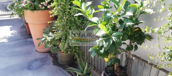 5 rooms House in Vigone, Italy No. 161519 14