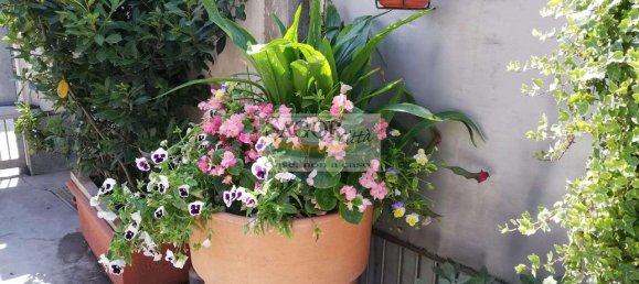 5 rooms House in Vigone, Italy No. 161519 13