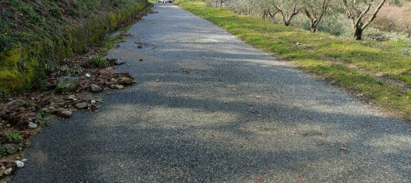 1 room Land in Montepaone, Italy No. 65659 7