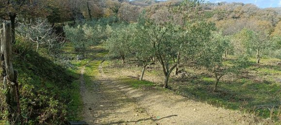 1 room Land in Montepaone, Italy No. 65659 8