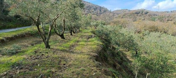 1 room Land in Montepaone, Italy No. 65659 3