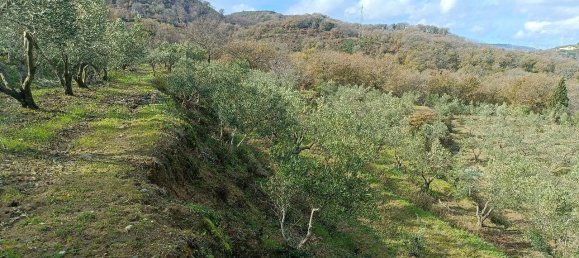 1 room Land in Montepaone, Italy No. 65659 4