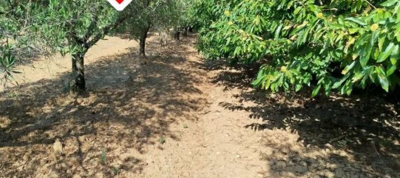 1 room Land in Montepaone, Italy No. 65659 11