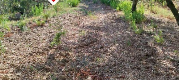 1 room Land in Montepaone, Italy No. 65659 10