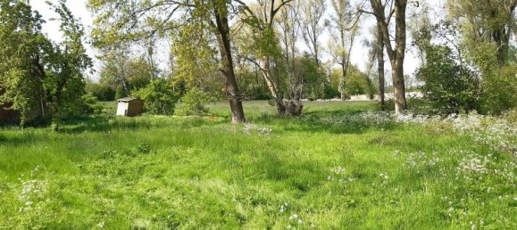 5-Zimmer Bauernhof in Wesermarsch, Germany, Nr. 187402 4