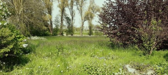 5-Zimmer Bauernhof in Wesermarsch, Germany, Nr. 187402 2