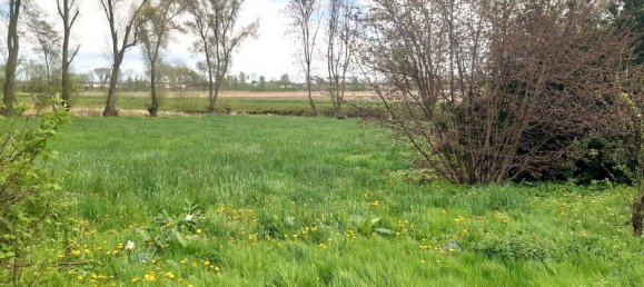 5-Zimmer Bauernhof in Wesermarsch, Germany, Nr. 187402 3