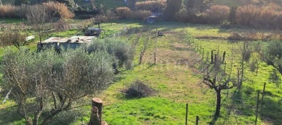 2 rooms House in Monterotondo, Italy No. 215969 17