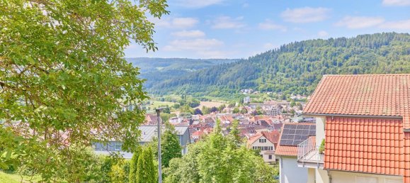 6 bedrooms Villa in Rhein-Neckar-Kreis, Germany No. 102523 13