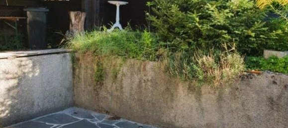 2 rooms House in Ternitz, Austria No. 244674 2