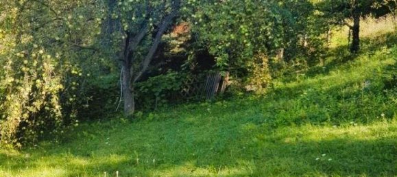 2 rooms House in Ternitz, Austria No. 244674 13