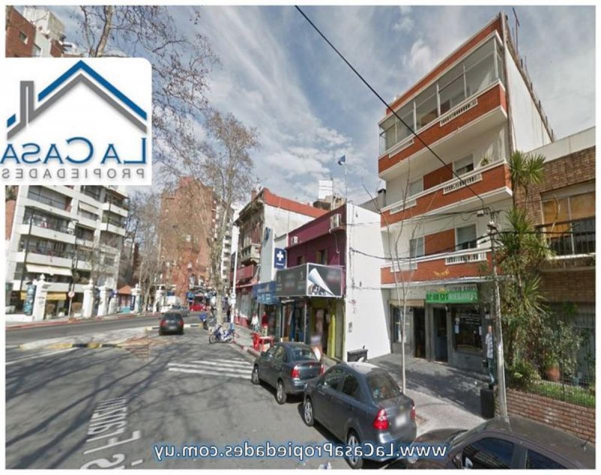 Studio in Montevideo, Uruguay, Nr. 10652