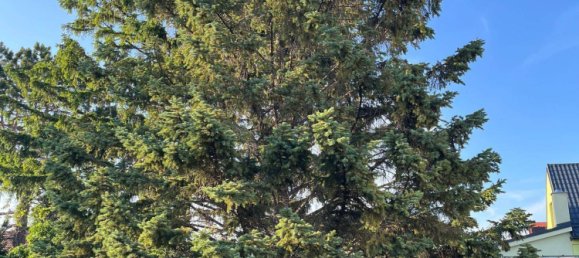 Casa de 4 divisões em Achau, Austria N.º 258809 6