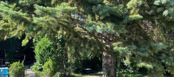 Casa de 4 divisões em Achau, Austria N.º 258809 12