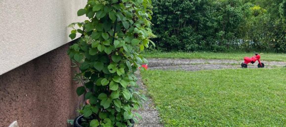 Casa de 4 divisões em Achau, Austria N.º 258809 27