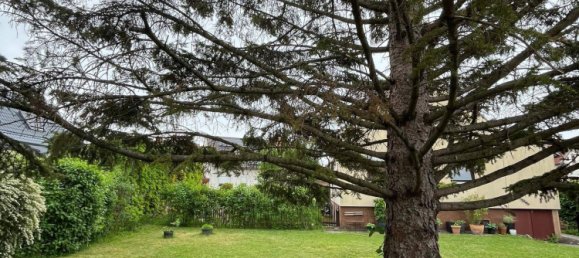 Casa de 4 divisões em Achau, Austria N.º 258809 38