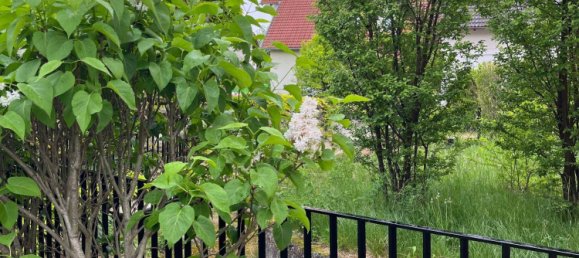 Casa de 4 divisões em Achau, Austria N.º 258809 30