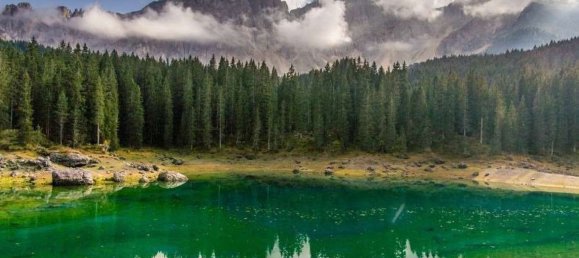 30-Zimmer Wohnung in Piedimulera, Italy, Nr. 142478 8