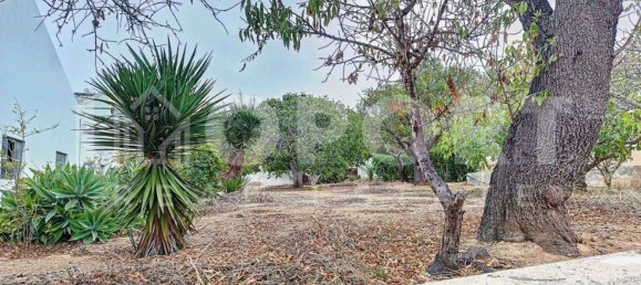 Terreno en Portimao, Portugal 6598 m² No. 62945 19