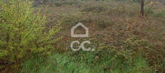 561m² Land in Viseu, Portugal No. 92293 6