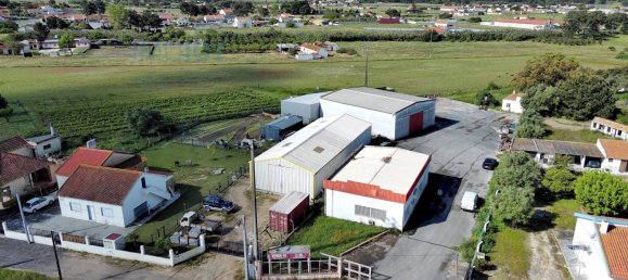 530m² Commercial property in Montijo, Portugal No. 254999 20