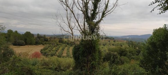 594m² Land in Sant Llorenc D'hortons, Spain No. 156655 17