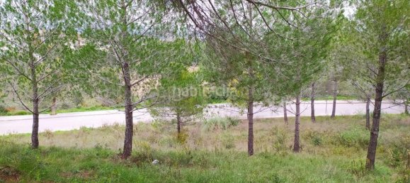 594m² Land in Sant Llorenc D'hortons, Spain No. 156655 26