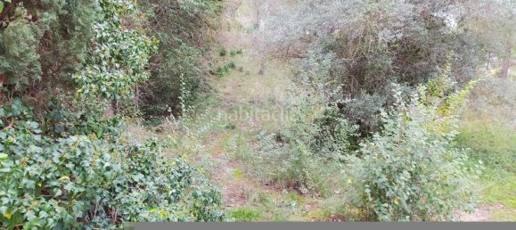 594m² Land in Sant Llorenc D'hortons, Spain No. 156655 13