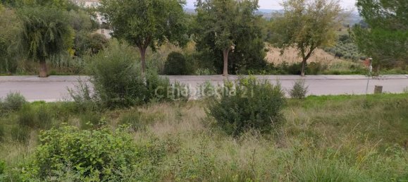 594m² Land in Sant Llorenc D'hortons, Spain No. 156655 34