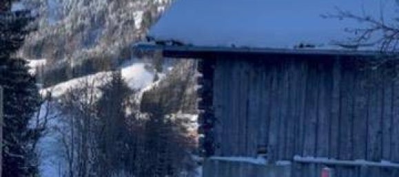 3 rooms Apartment in Dienten am Hochkonig, Austria No. 34318 14