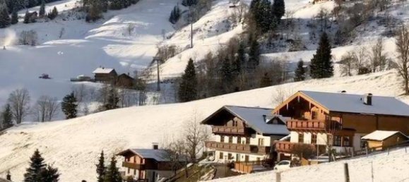 3 rooms Apartment in Dienten am Hochkonig, Austria No. 34318 13