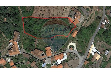 1970m² Land in Oliveira de Frades, Portugal No. 43602