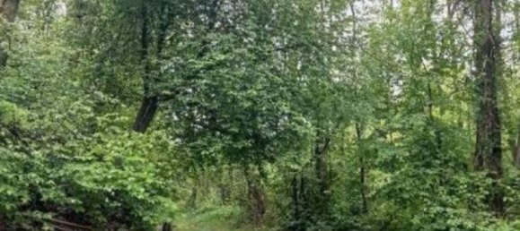 3 bedrooms Apartment in Golasecca, Italy No. 282581 47