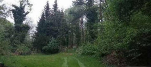 3 bedrooms Apartment in Golasecca, Italy No. 282581 48